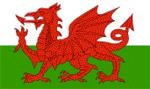 The Welsh Flag